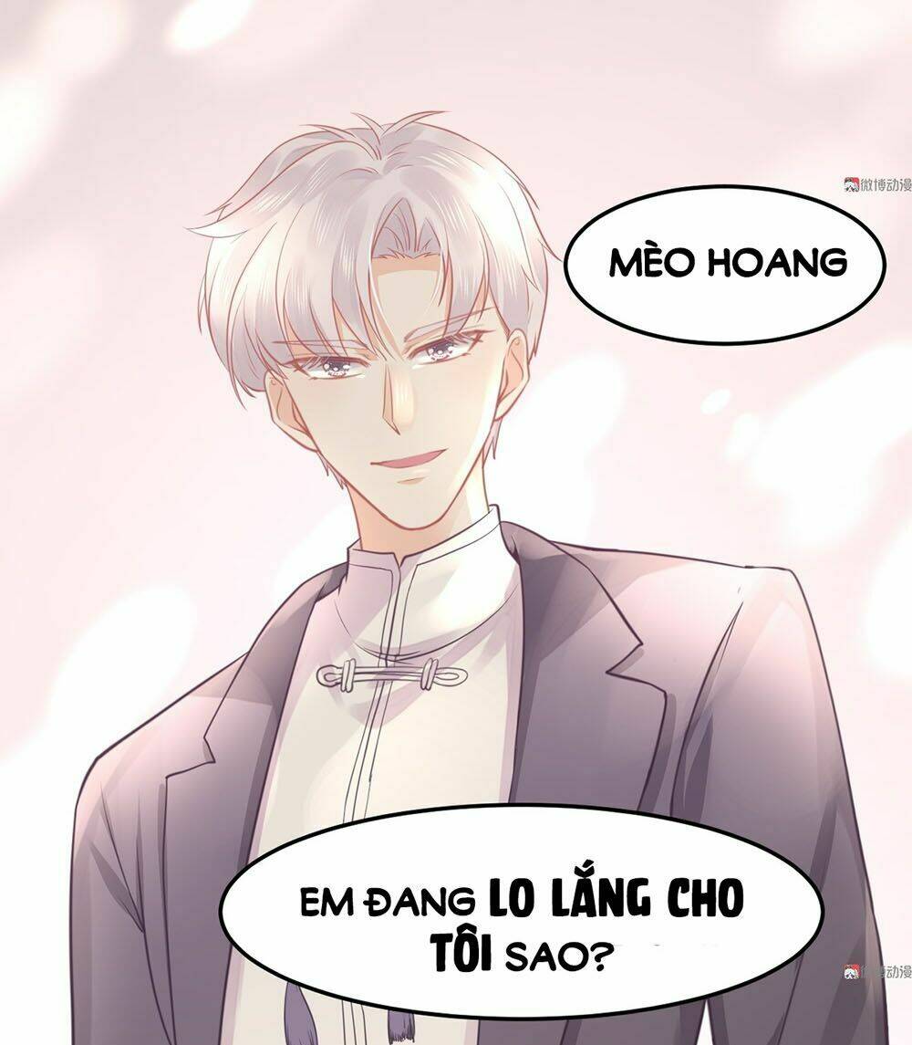 Bọn Họ Đều Muốn Gả Cho Tôi Làm Sao Đây? Chương 14 Ảnh 6