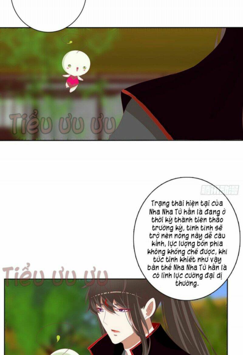 Thông Linh Phi Chương 729 Ảnh 15