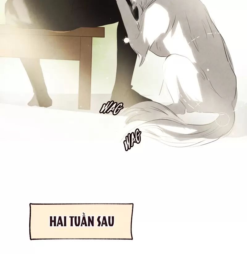 Tôi Là Kẻ Phản Diện Chương 13 Ảnh 46