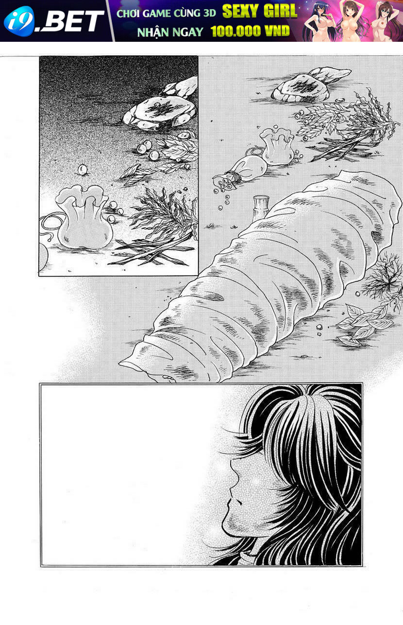 Princess - Công Chúa Xứ Hoa (Bản Đẹp) Chương 79 Ảnh 56