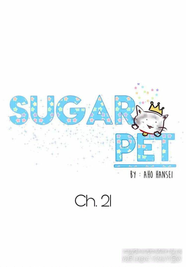 Sugar Pet Chương 21 Ảnh 27