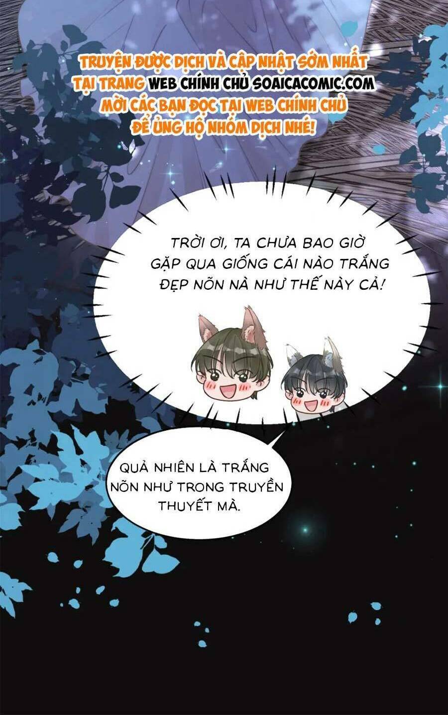Xuyên Nhanh Nữ Phụ Bình Tĩnh Chút Chương 168.1 Ảnh 19
