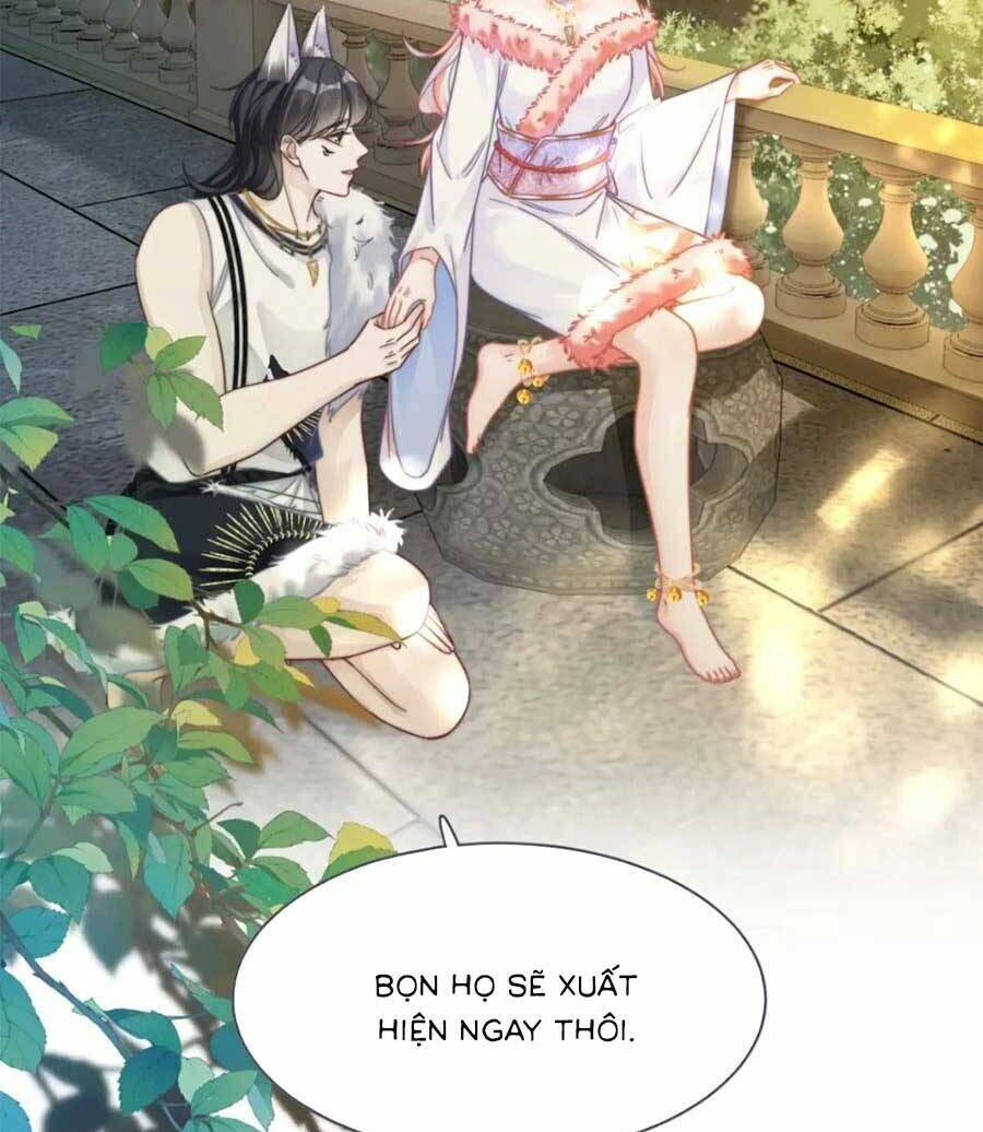 Xuyên Nhanh Nữ Phụ Bình Tĩnh Chút Chương 173 Ảnh 16