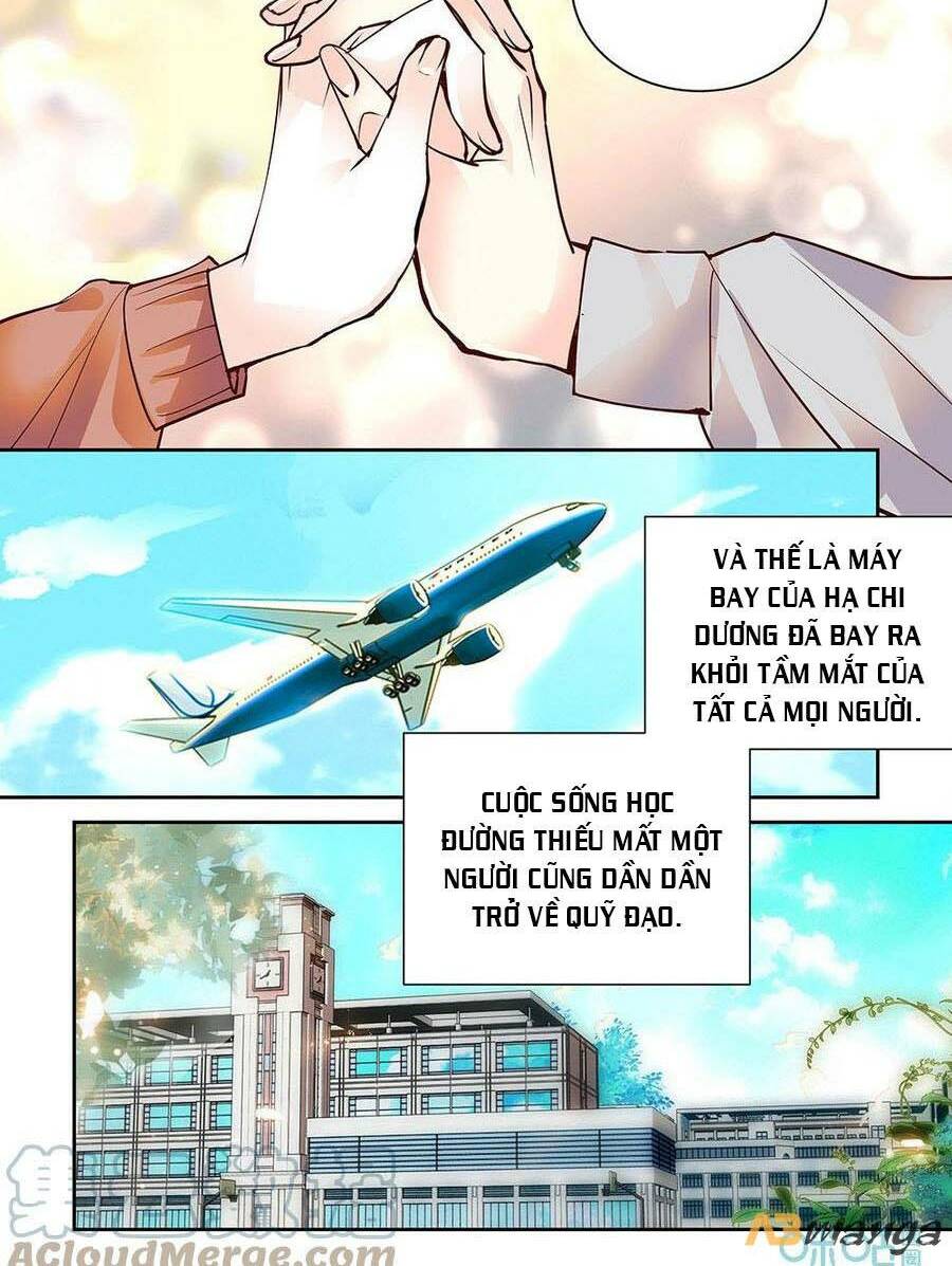 Thanh Ninh Chi Hạ Chương 484 Ảnh 6