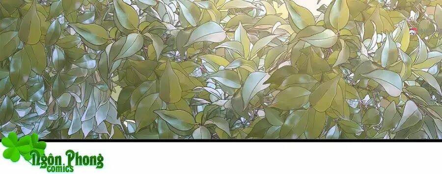 Bọn Họ Đều Muốn Gả Cho Tôi Làm Sao Đây? Chương 19 Ảnh 62