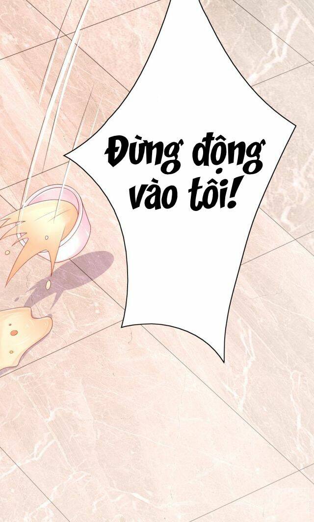Tôi Đã Yêu Anh Trai Mình Chương 7 Ảnh 37