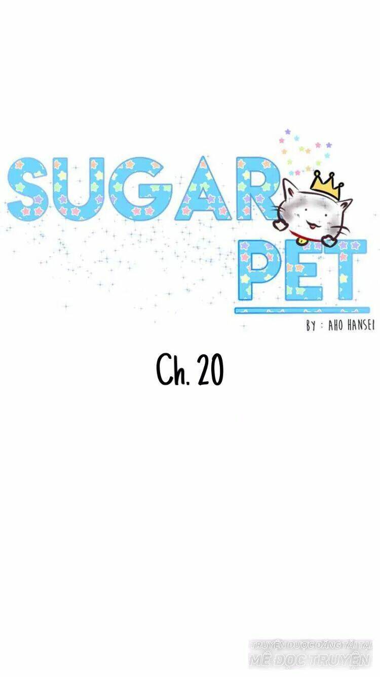 Sugar Pet Chương 20 Ảnh 2