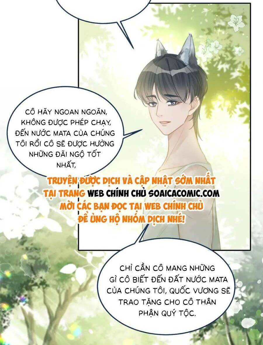 Xuyên Nhanh Nữ Phụ Bình Tĩnh Chút Chương 168.1 Ảnh 31