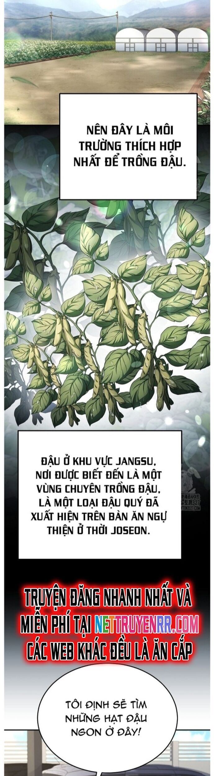 Đầu Bếp Trẻ Nhất Tới Từ Khách Sạn Hạng Ba Chương 94 Ảnh 32