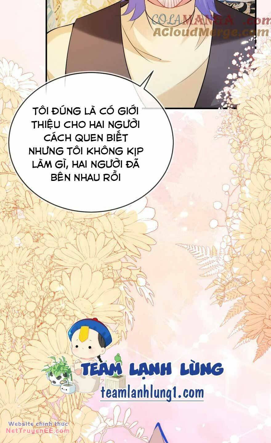 Vừa Mới Huỷ Hôn Đã Bị Dã Hồ Ly Lừa Kết Hôn Chương 44 Ảnh 24