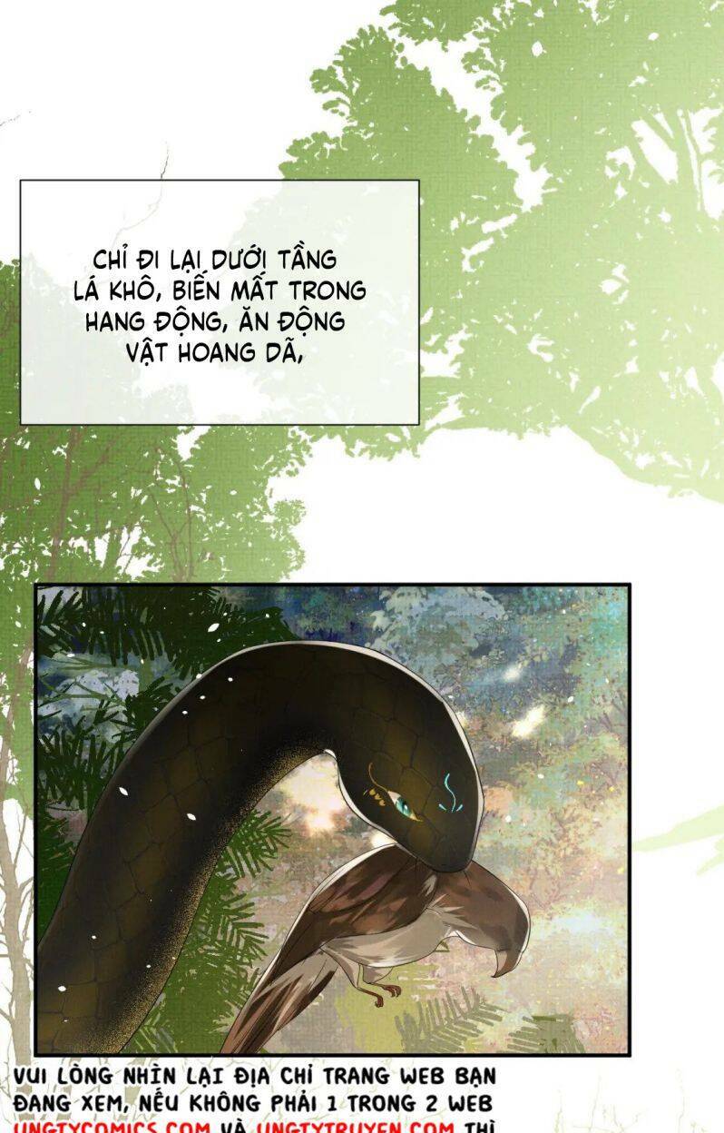 Ngộ Xà Chương 86 Ảnh 21