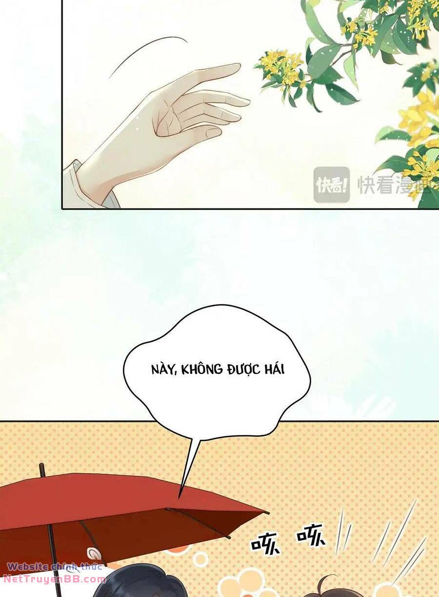 Núi Của Cô Ấy, Biển Của Cô Ấy Chương 43 Ảnh 13