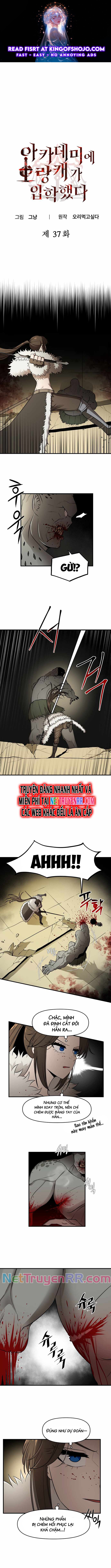 Kẻ Man Rợ Bước Vào Học Viện Danh Giá Chương 37 Ảnh 2