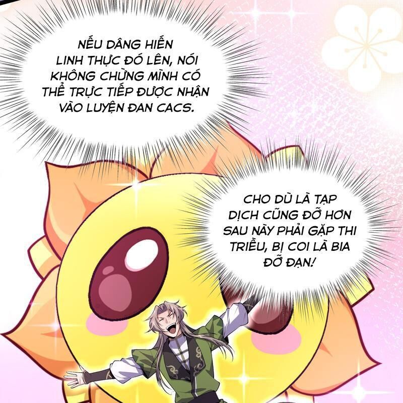 Xuyên Không Đến Thế Giới Tu Chân, Ta Vậy Mà Kích Hoạt Được Hệ Thống Plants Vs Zombie Chương 5 Ảnh 22