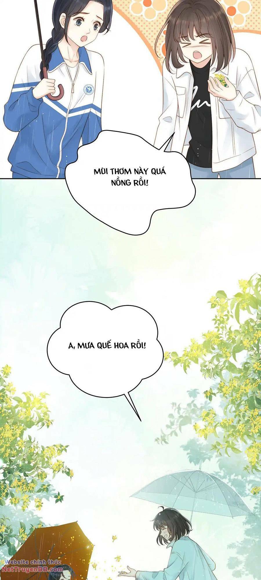 Núi Của Cô Ấy, Biển Của Cô Ấy Chương 43 Ảnh 14