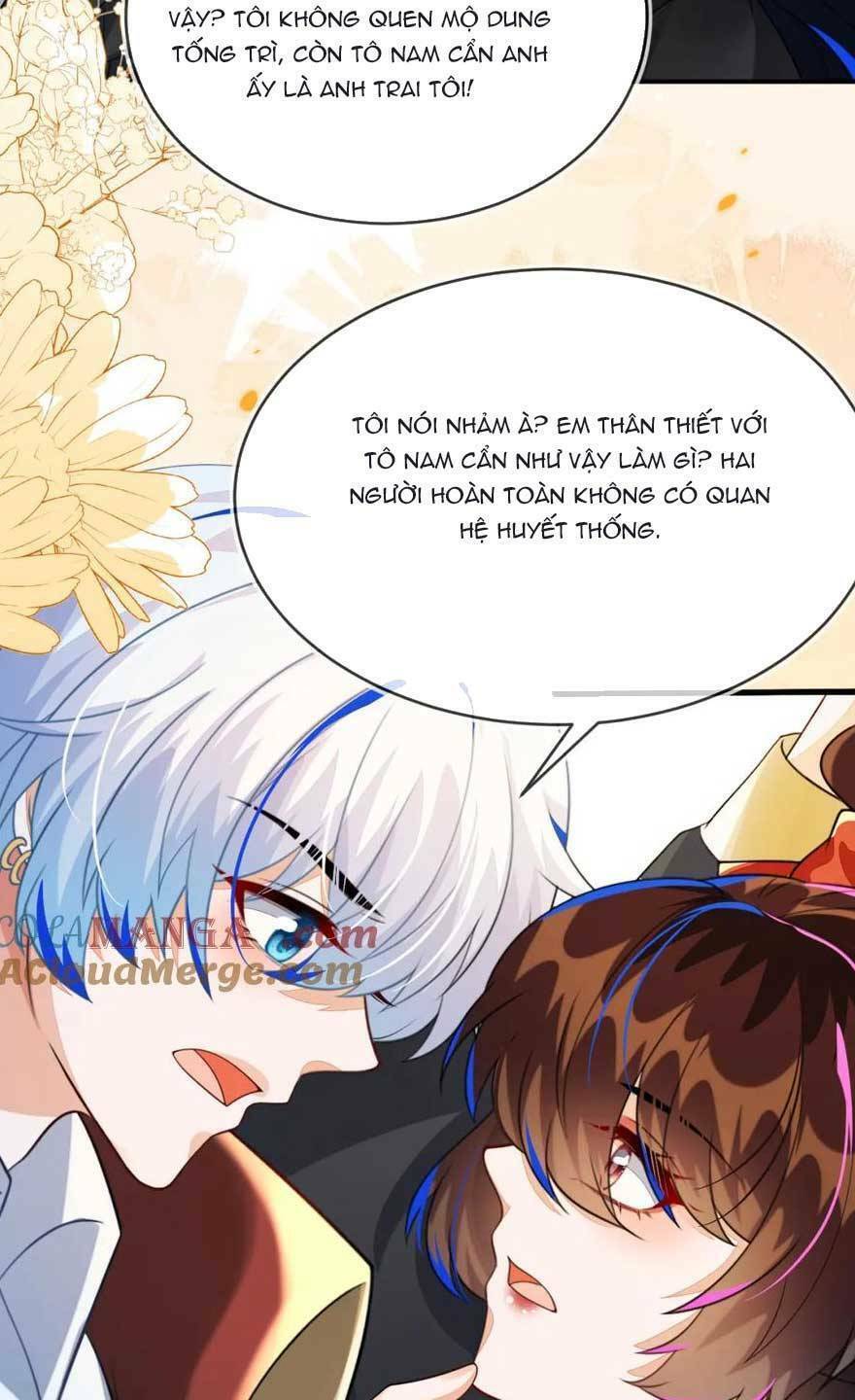 Vừa Mới Huỷ Hôn Đã Bị Dã Hồ Ly Lừa Kết Hôn Chương 31 Ảnh 41