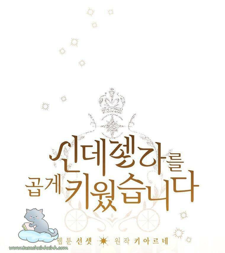 Tôi Trở Thành Mẹ Kế Của Cinderella Chương 75 Ảnh 16