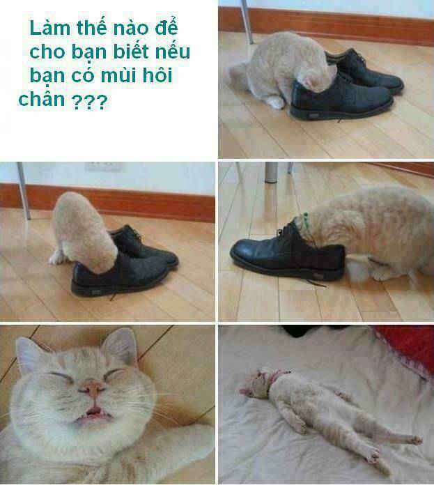 Rage Comic-Troll Chương 71 Ảnh 7