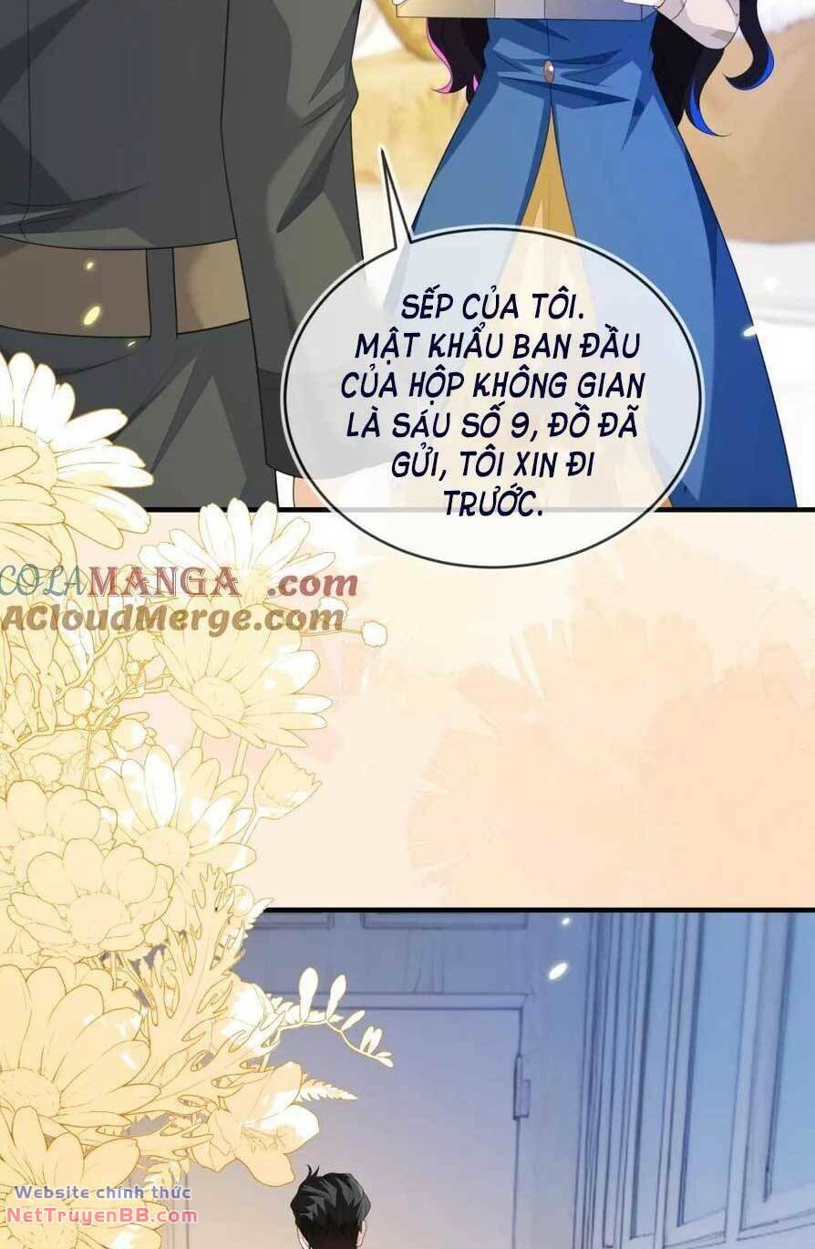Vừa Mới Huỷ Hôn Đã Bị Dã Hồ Ly Lừa Kết Hôn Chương 41 Ảnh 41