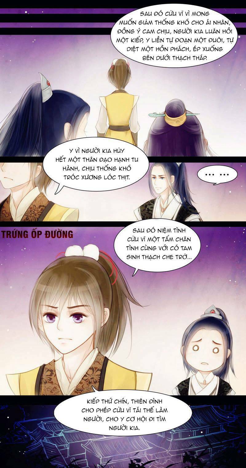 Cửu Vĩ Ức Tình Chương 2 Ảnh 15