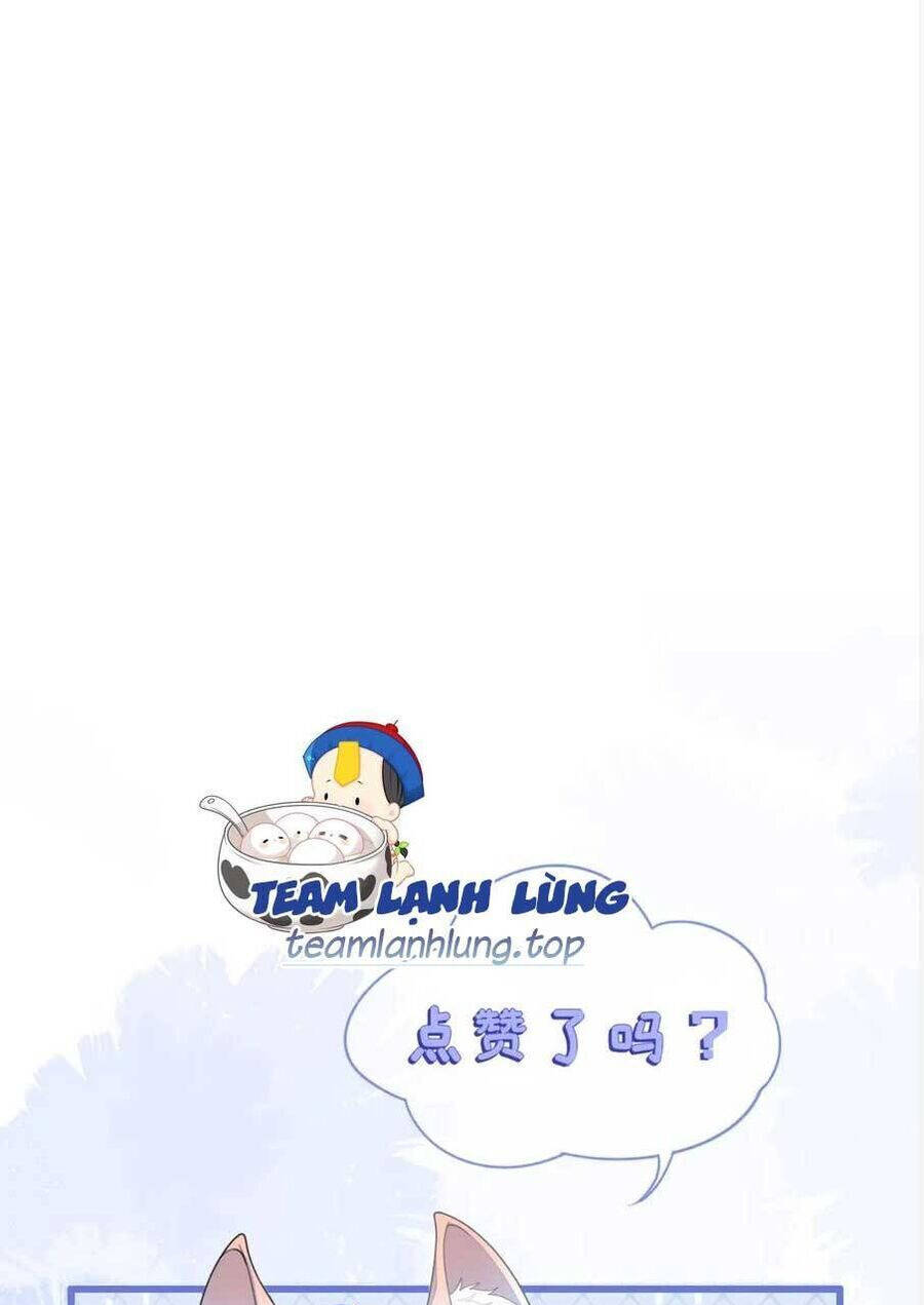 Vừa Mới Huỷ Hôn Đã Bị Dã Hồ Ly Lừa Kết Hôn Chương 40 Ảnh 78