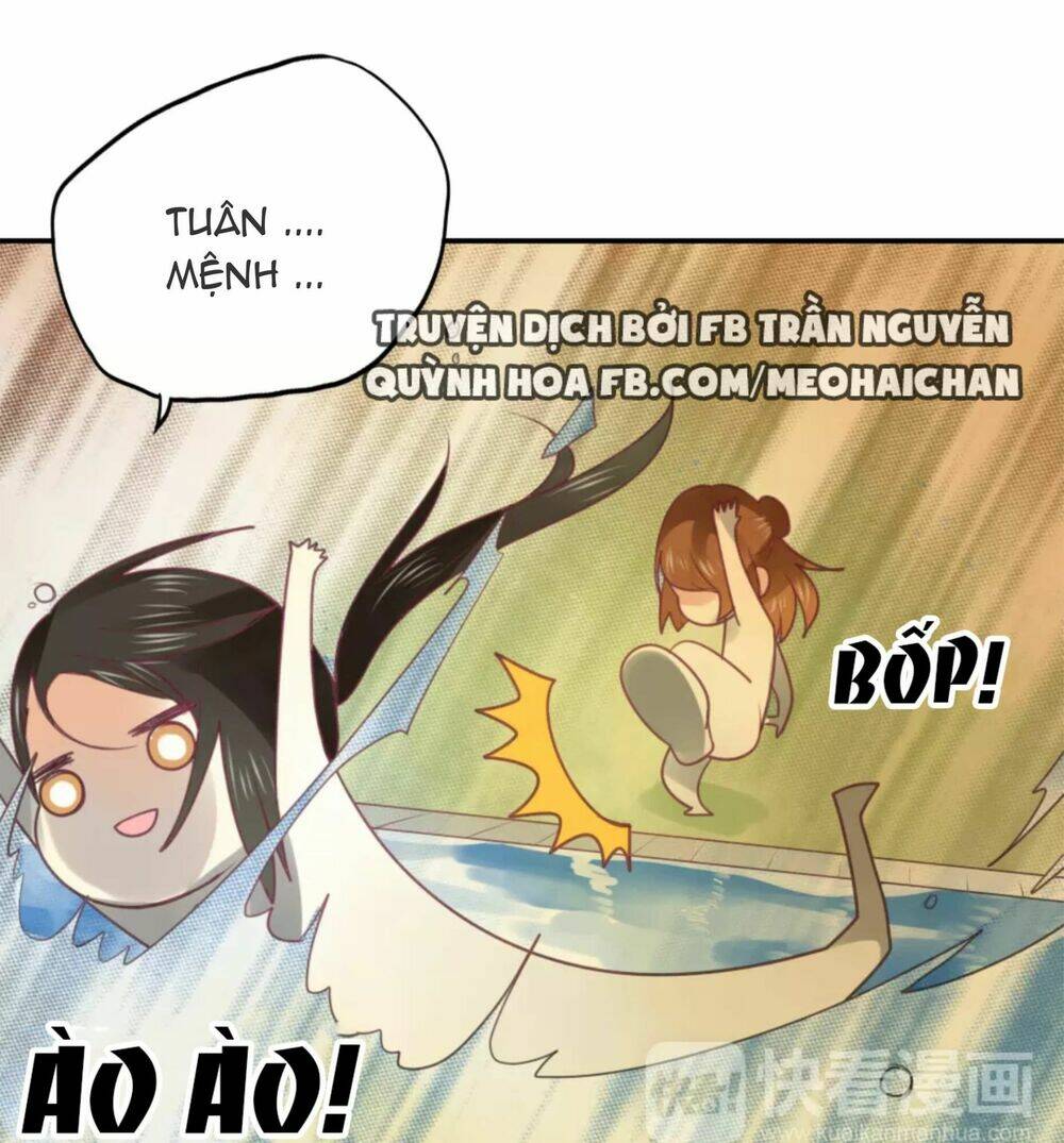 Thái Tử Bong Bóng Chương 8 Ảnh 38