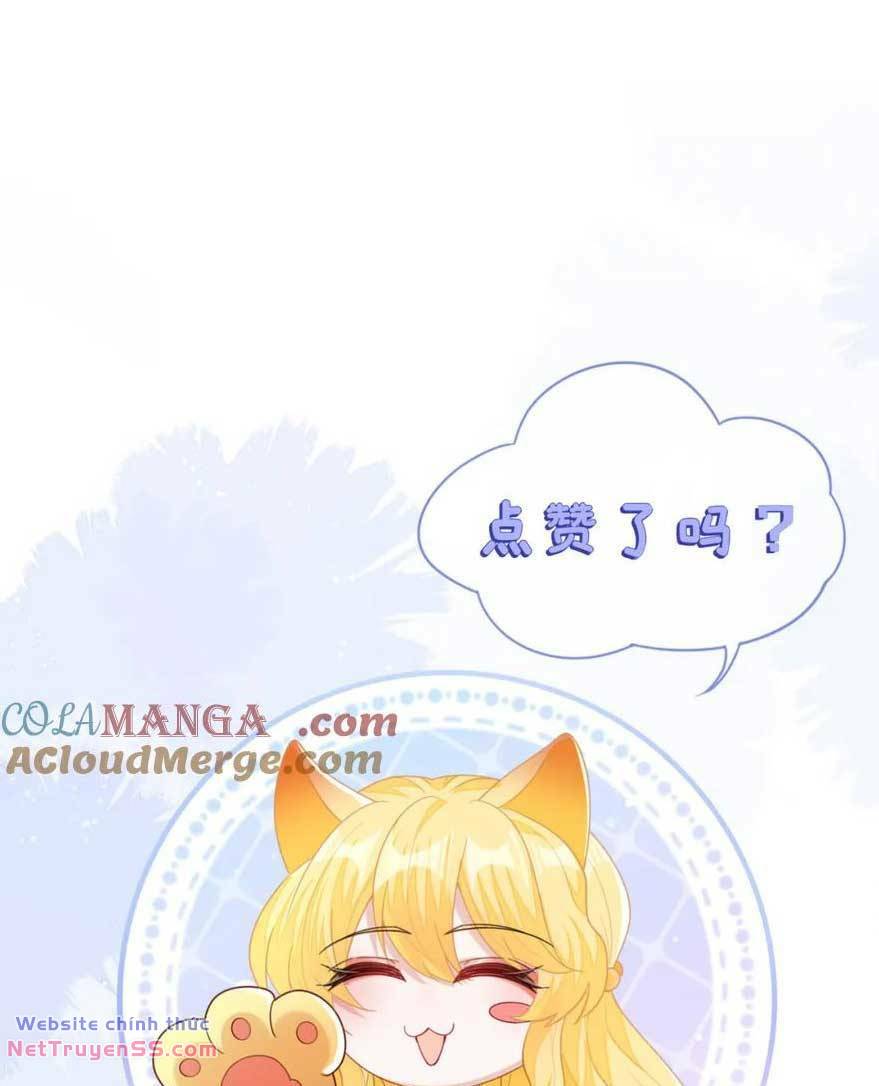 Vừa Mới Huỷ Hôn Đã Bị Dã Hồ Ly Lừa Kết Hôn Chương 32 Ảnh 45