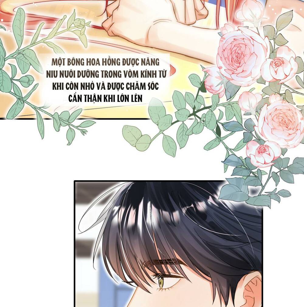 Bong Bóng Đào Chi Chương 12 Ảnh 8