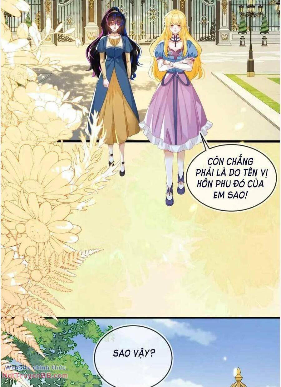 Vừa Mới Huỷ Hôn Đã Bị Dã Hồ Ly Lừa Kết Hôn Chương 41 Ảnh 5