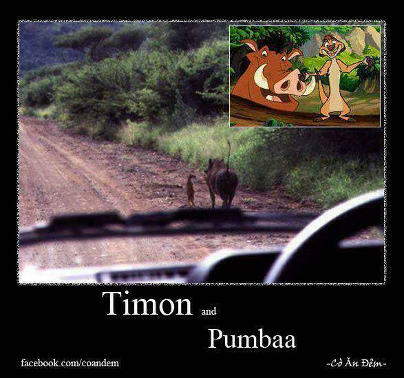 Rage Comic-Troll Chương 71 Ảnh 8