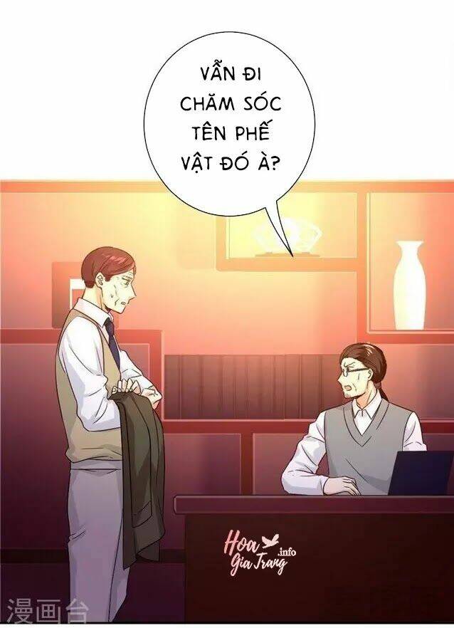 Phục Thù Thiếu Gia Tiểu Điềm Thê Chương 79 Ảnh 31