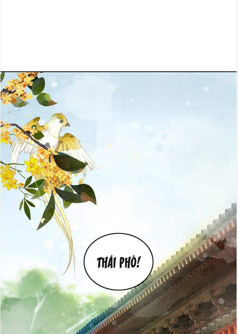 Hậu Cung Của Trẫm Cháy Rồi! Chương 77 Ảnh 4