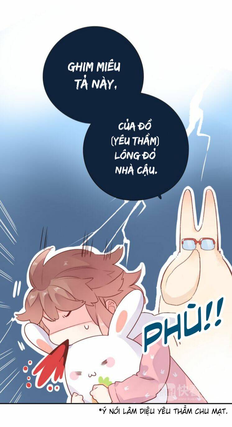 Dolo Mệnh Vận Giao Nang Chương 46 Ảnh 24