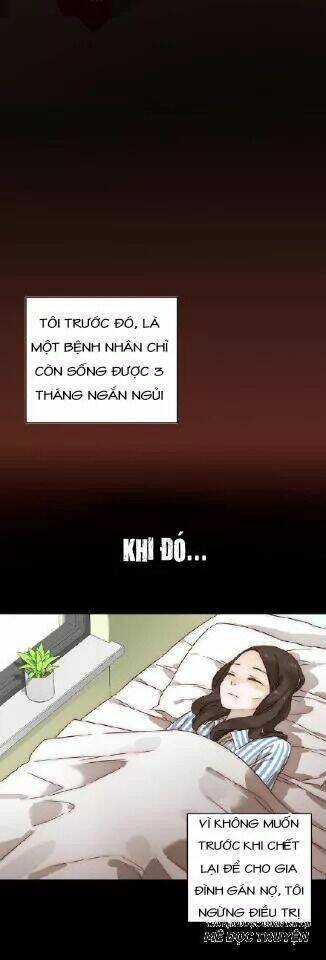 Xuyên Vào Tiểu Thuyết - Nữ Phụ Muốn Sống! Chương 3 Ảnh 7