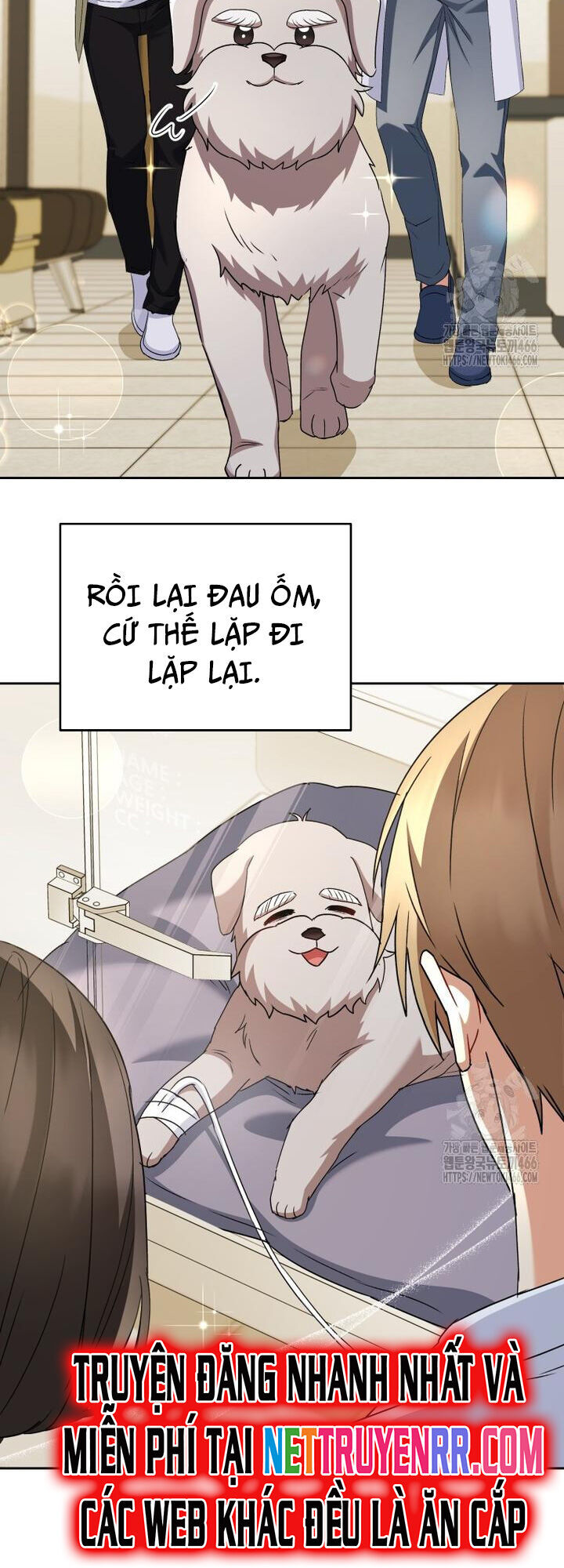 Xin Chào! Bác Sĩ Thú Y Chương 72 Ảnh 46