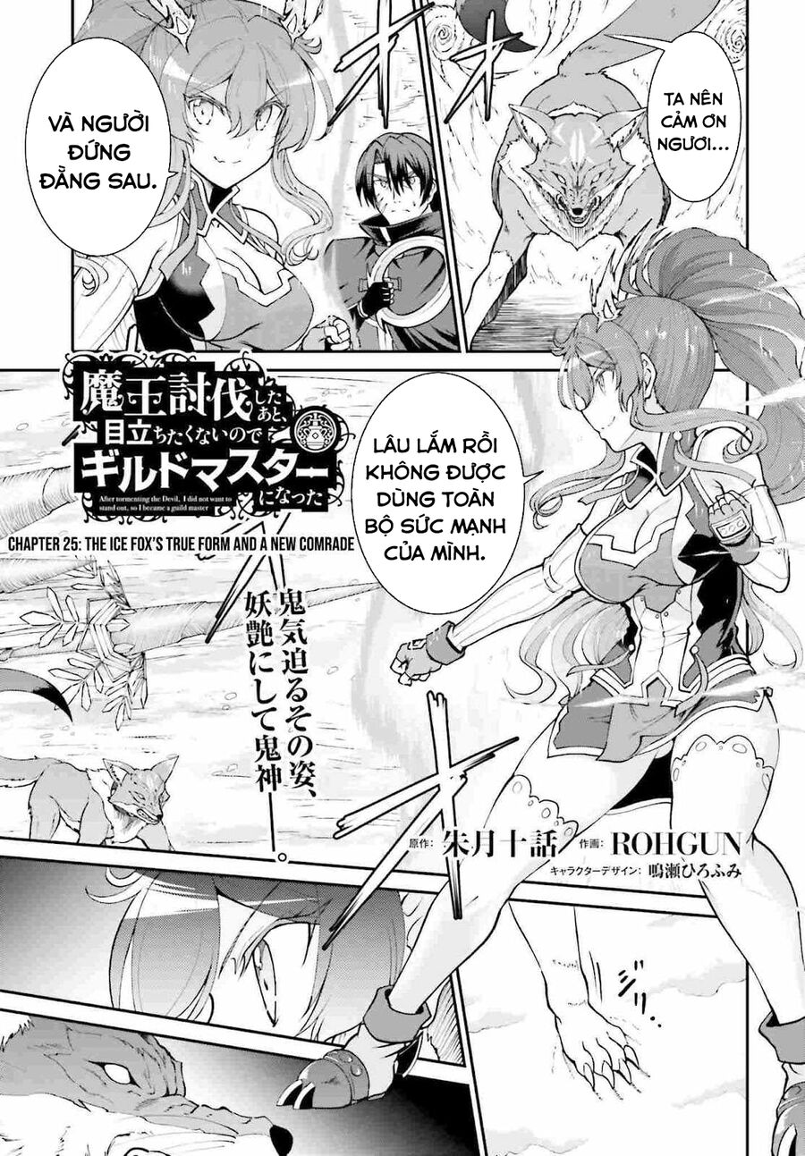 Maou Toubatsu Shita Ato, Medachitakunai Node Guild Master Ni Natta Chương 25 Ảnh 3