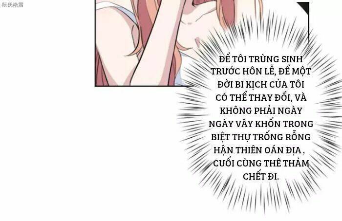 Trọng Sinh Noãn Hôn Khinh Sủng Thê Chương 2 Ảnh 41