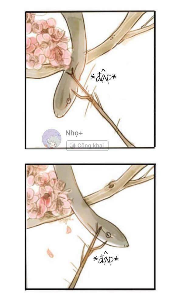 Xà Yêu Và A Bảo Chương 1 Ảnh 6