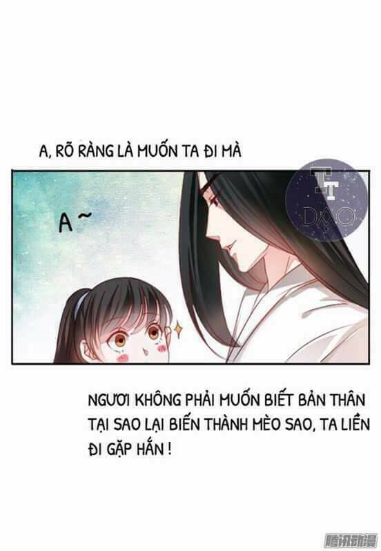 Hoàng Thái Tử, Xin Nhận Nuôi Em! Chương 11 Ảnh 3