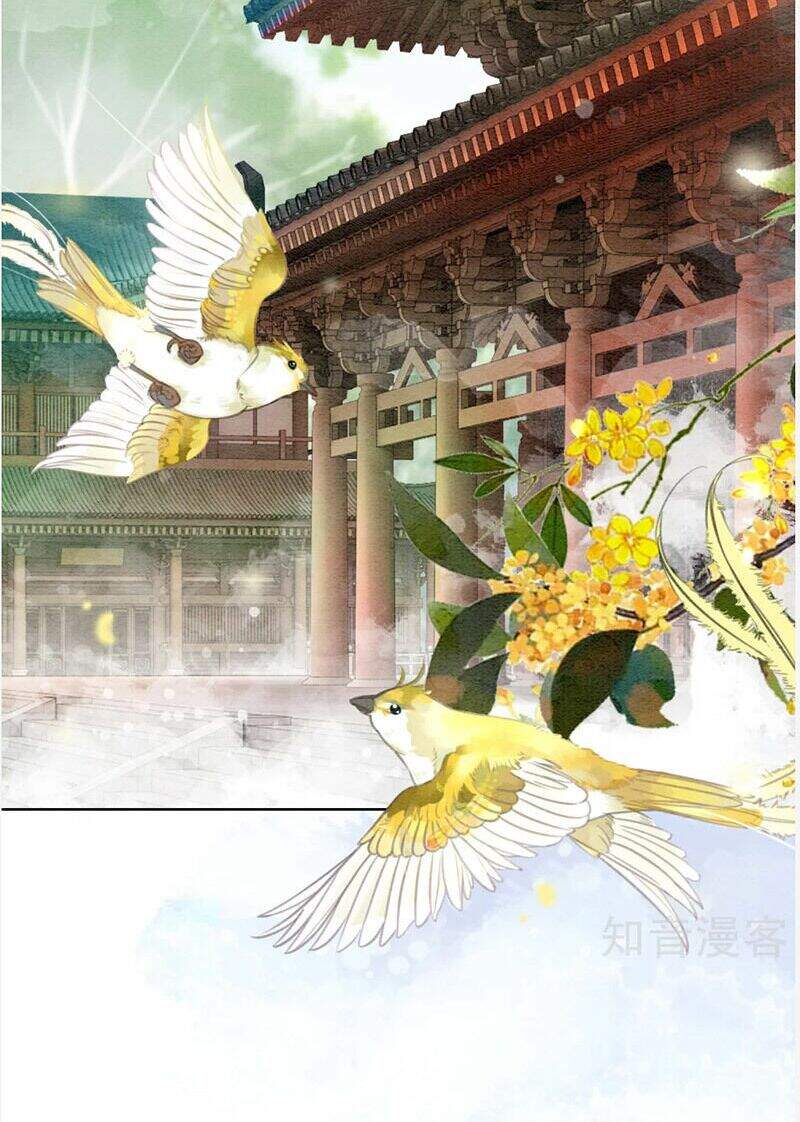 Hậu Cung Của Trẫm Cháy Rồi! Chương 77 Ảnh 5