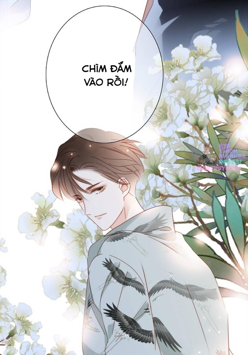 Tôi Không Muốn Coi Em Là Chị Nữa Chương 58 Ảnh 65