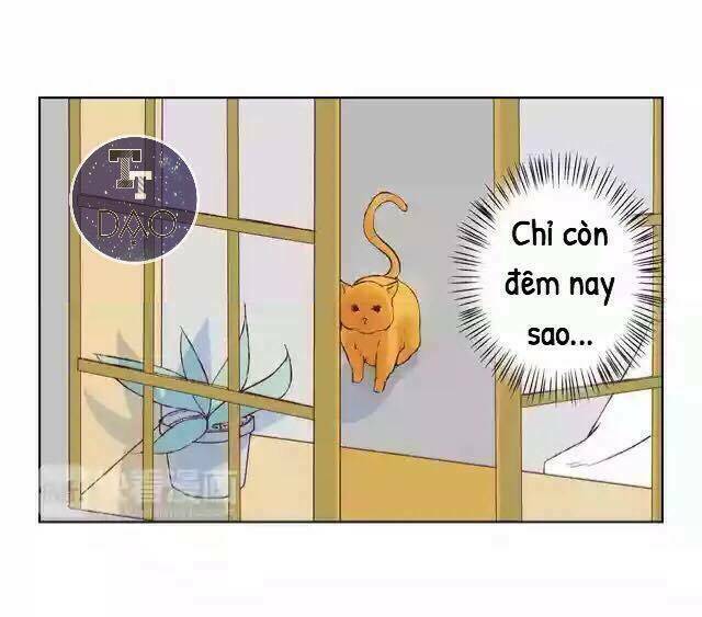 Tôi Không Phải Đa Nhân Cách Chương 17 Ảnh 16