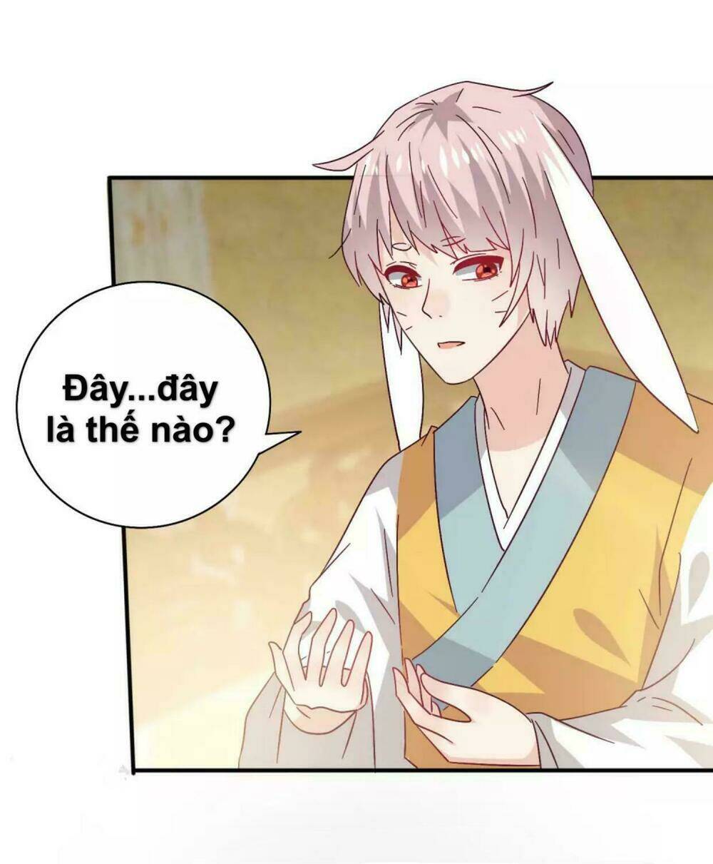 Nữ Hoàng Thú Sủng Chương 40 Ảnh 3