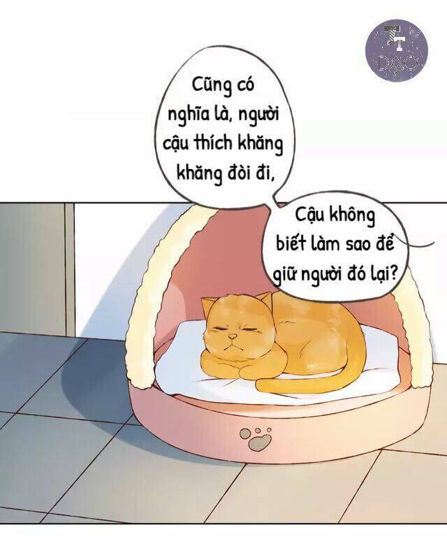 Tôi Không Phải Đa Nhân Cách Chương 32 Ảnh 56