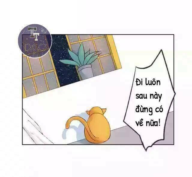 Tôi Không Phải Đa Nhân Cách Chương 17 Ảnh 15