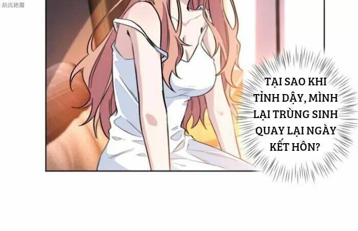 Trọng Sinh Noãn Hôn Khinh Sủng Thê Chương 2 Ảnh 35