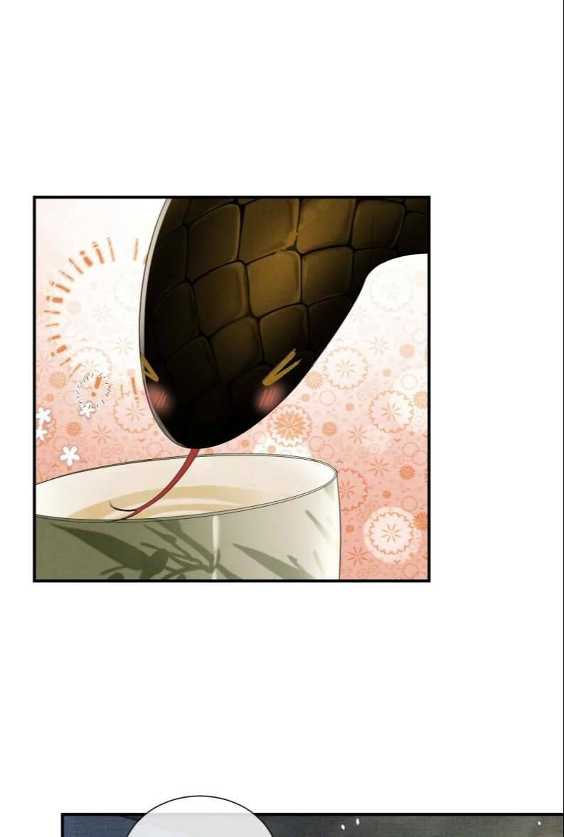 Ngộ Xà Chương 90 Ảnh 44