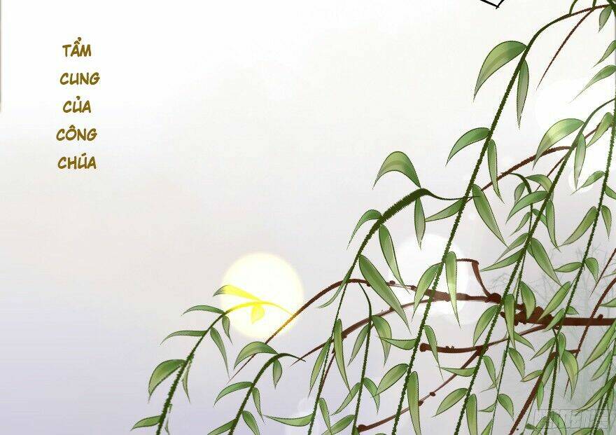 Ngô Bổn Công Chúa Chương 6 Ảnh 46
