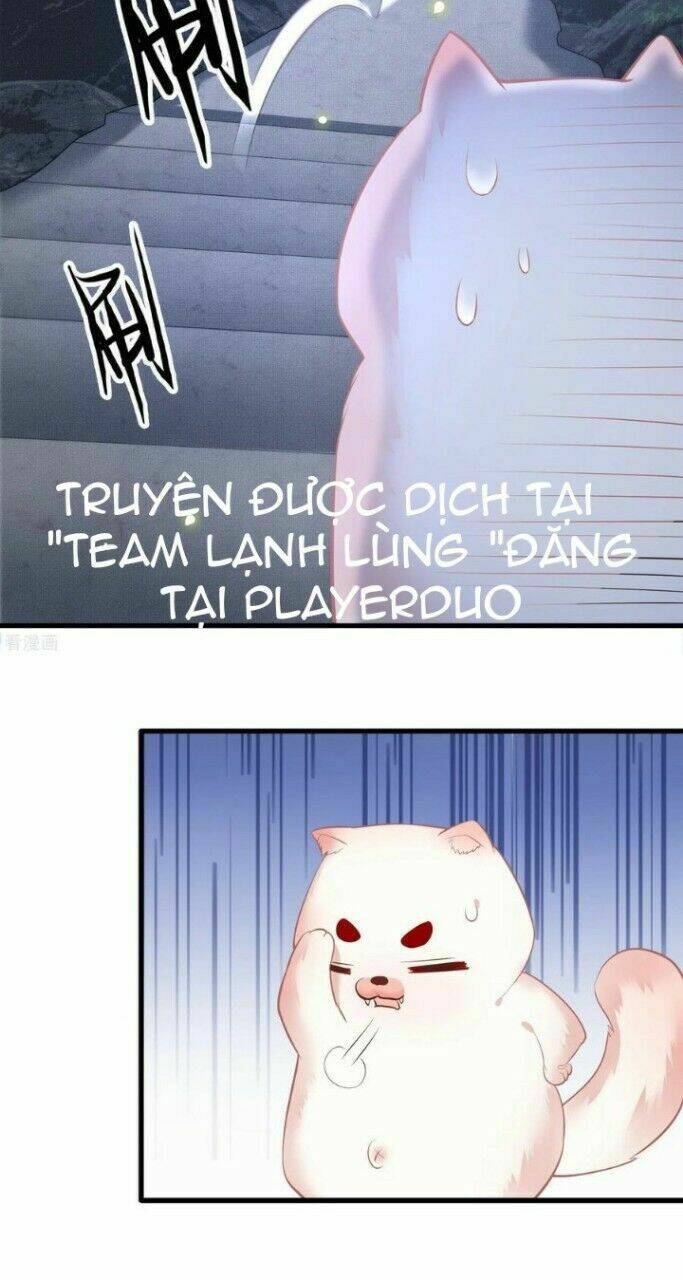 Con Đường Hoang Dã Của Vương Phi Chương 33 Ảnh 17