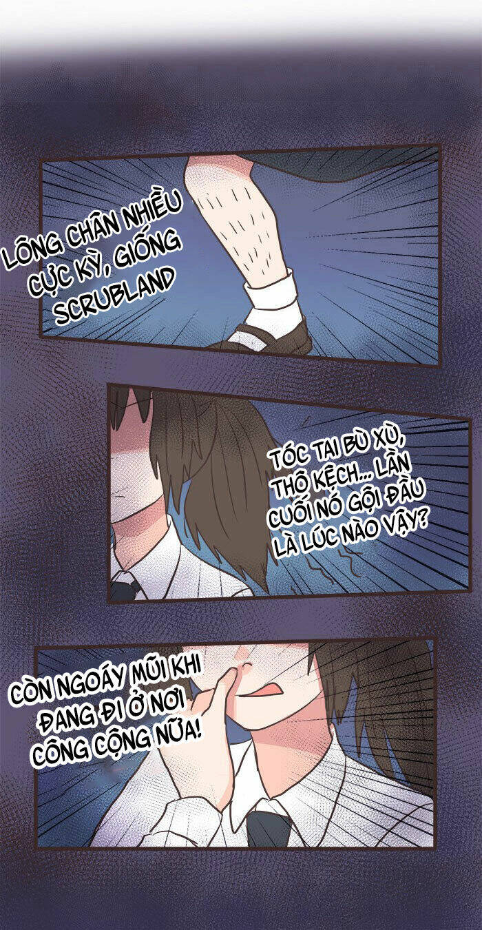 Con Gái Của Mafia Chương 1 Ảnh 7